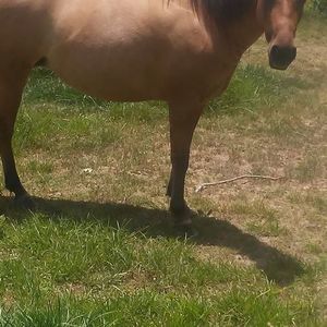 Meet your Posher, Gary